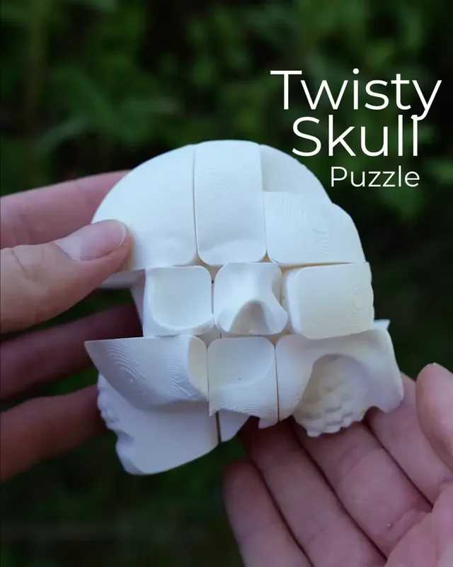 Twisty Skull Puzzle