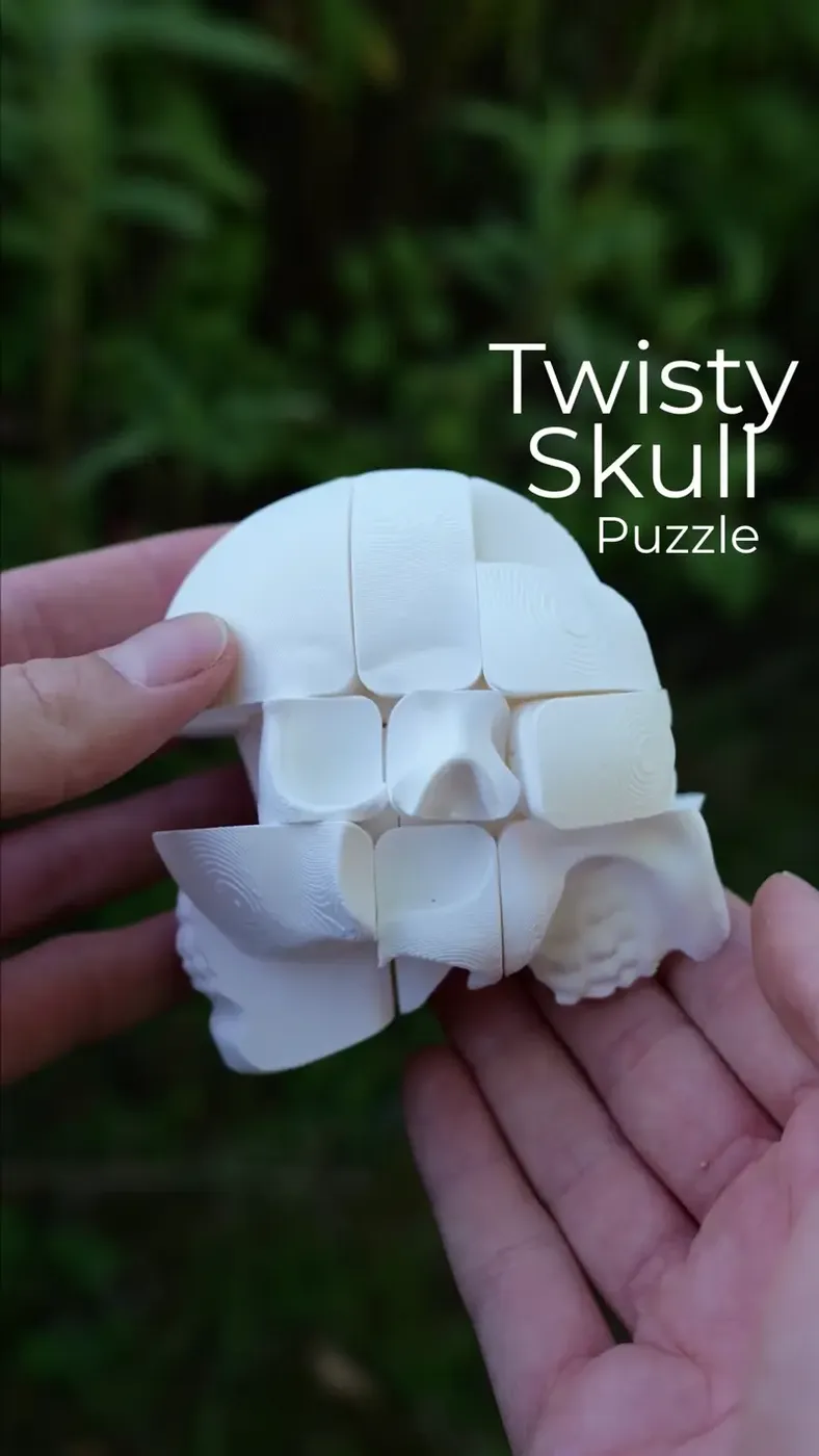 Twisty Skull Puzzle